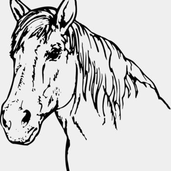 HORSE009 Thumbnail