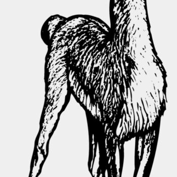 LLAMA001 Thumbnail