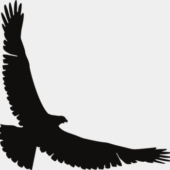 Eagle   Clipart 2 Thumbnail