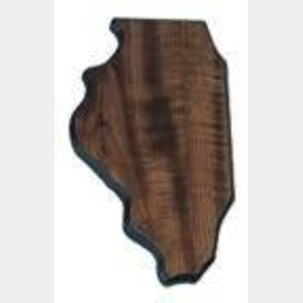 4" x 8 1/2" Finish Edge Illinois State Plaque Thumbnail